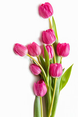 Pink tulips on a white background. Isolate. 