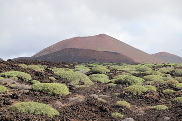 Paysages Volcaniques Lanzarote Canaries Espagne