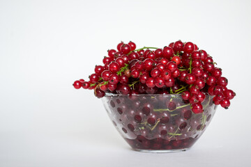 Ripe red currants close-up. Plate of fresh currant. White and red currants