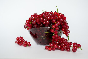 Ripe red currants close-up. Plate of fresh currant. White and red currants
