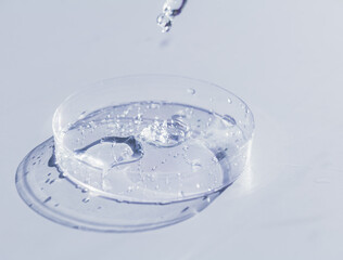 Transparent liquid gel or hyaluronic serum acid in petri medical dish with pipette. Hydrating and skin care concept