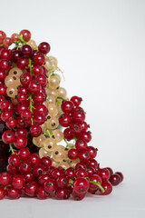 Ripe red currants close-up. Plate of fresh currant. White and red currants