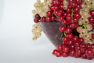Ripe red currants close-up. Plate of fresh currant. White and red currants