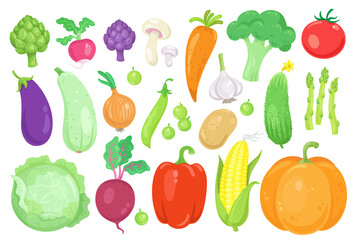 Big set of colorful vegetables. In cartoon style. Isolated on white background. Vector flat illustration.