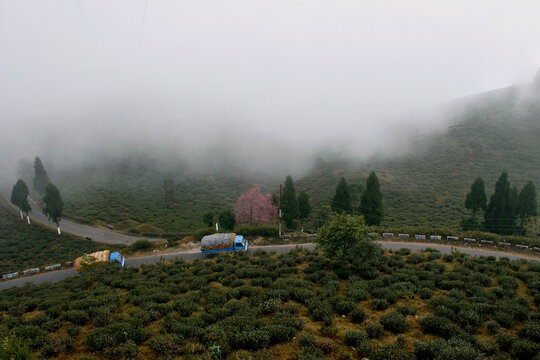 A View Of Mirik While Cloud Touches The Hills