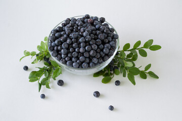 Fresh Blueberries in a bowl on white background. Juicy wild forest berries, bilberries. Healthy eating or nutrition.