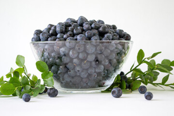 Fresh Blueberries in a bowl on white background. Juicy wild forest berries, bilberries. Healthy eating or nutrition.