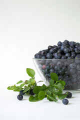 Fresh Blueberries in a bowl on white background. Juicy wild forest berries, bilberries. Healthy eating or nutrition.