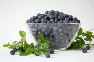 Fresh Blueberries in a bowl on white background. Juicy wild forest berries, bilberries. Healthy eating or nutrition.