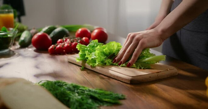 Woman cutting salad leaves, cooking healthy vegetarian meal for dinner. Female hand chopping fresh green lettuce.