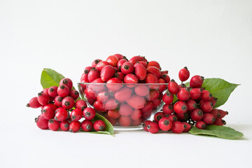 Rose-hips or wild rose berries isolated on a white background.