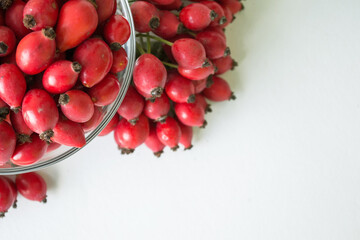 Rose-hips or wild rose berries isolated on a white background.