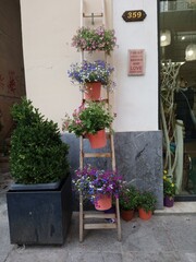 Fototapeta na wymiar Sicily flower shop with a ladder