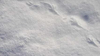 Winter background with snow close-up, top view. On a sunny day outdoors. Pure and shiny snow, with highlights and shadows. Loose gray snow, natural texture. Copy space, no people, footprints of birds.
