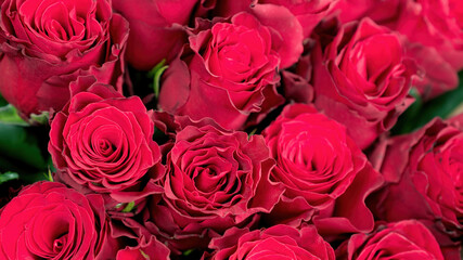 Bouquet of red roses top view macro photo for a greeting card. Festive background with rose flowers close-up with copy space. Floral banner for advertising delivery of flowers and bouquets.