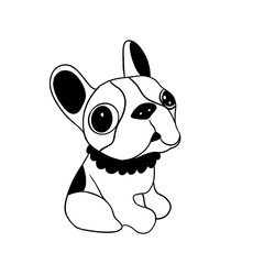 small bulldog with big eyes
