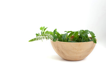 Fresh mint in a wooden bowl on a white background