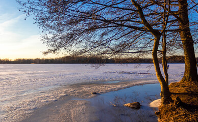 Early spring on a frozen lake. Reflection of sky and tree in water