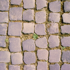 san pietrino, italia, strada, roma, antico, lazio, san, pietra, texture, pietrino, esempio, strada, mattoncino, lastricare, vecchio, mura, sanpietrini, strada, lastricare, architettura, blocchi, 