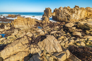 Beautiful landscape, picturesque coast of Monterey, view of the Kissing Rock, Pacific Grove, Monterey, California, USA.