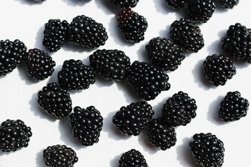 blackberry on a white