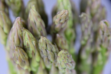 green asparagus on a white background