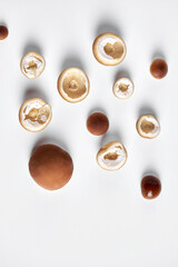 Collage of fresh whole and sliced honey mushrooms isolated on white background. View from above