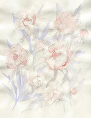 Watercolor Hand-drawn art botanical  background with peonies. Perfect for creatives, website, advertising, postcard, poster, cover art, invitation, brochure.
