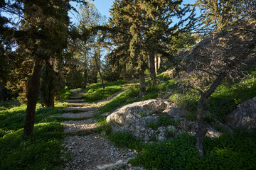 nice park in the Montenegro