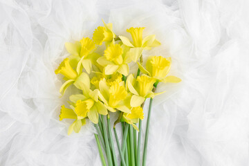 beautiful bouquet of daffodils on white flowing tulle. simple flat composition with spring flowers. holiday concept. copy space