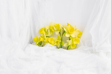 composition of spring flowers on a white fabric. delicate tulle in a mesh in waves. simple layout for greeting card, banner