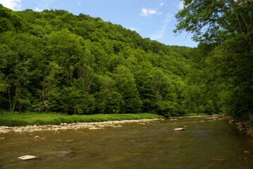 rzeka w górach latem bieszczady