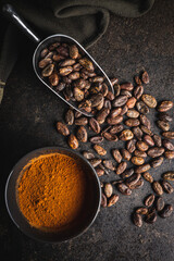 Cocoa powder and cocoa beans in scoop.