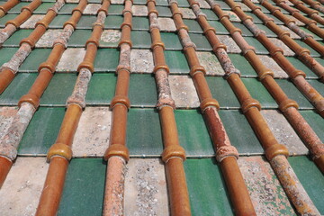 Typical green roof in Italy
