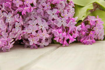 Closeup branches of blooming lilac on white rustic wooden surface. Space for product or text on foreground