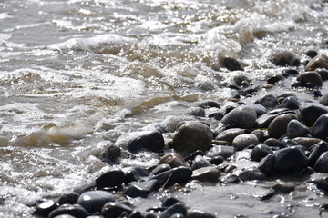 Rocks on the Shore