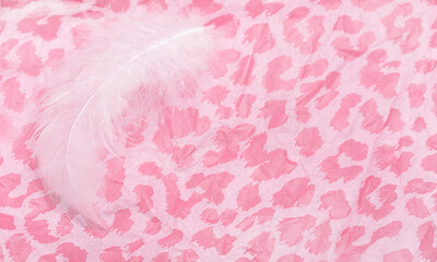 White feather for decoration on delicate pink paper. Idea for a romantic postcard with copy space