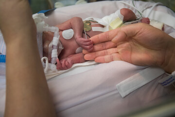 Mother's finger touching premature newborn baby's finger in incubator - obrazy, fototapety, plakaty