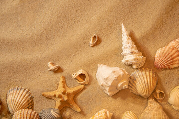Fototapeta na wymiar Summer background with sea sand and shells