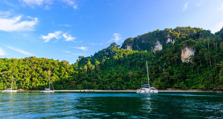 Monkey beach in paradise Bay - about 5 minutes boat ride from Loh Dalum Beach - Koh Phi Phi Don Island at Krabi, Thailand - Tropical travel destination