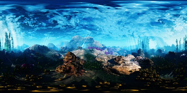 VR360 bottom of the ocean