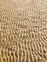 Wavy sand on a beach or dune or desert