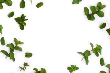 Fresh green leaves mint ( Mentha ) on a white background with space for text. Top view, flat lay © Anastasiia Malinich
