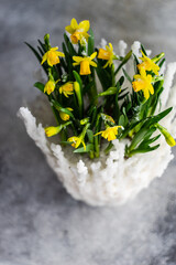 Floral composition with yellow daffodils