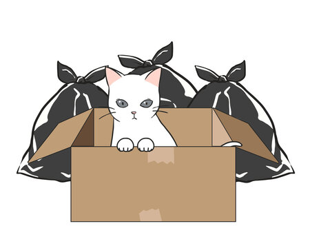 捨て猫 Images Browse 711 Stock Photos Vectors And Video Adobe Stock 捨て猫 Images Browse 711 Stock Photos Vectors And Video Adobe Stock