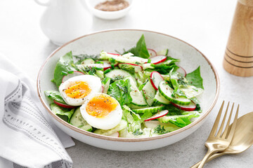 Salad with radish, cucumber, romaine lettuce, greens and boiled egg. Breakfast. Healthy and detox food concept.