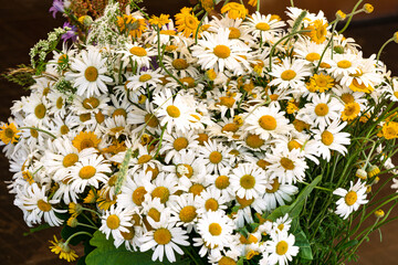 A large bouquet of field white chamomile in a vase.