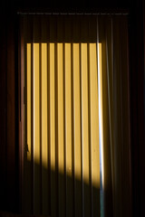 blinds in the window