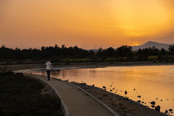 Obraz premium A woman walks at sunset along a footpath on Larnaca salt lake shore in Cyprus