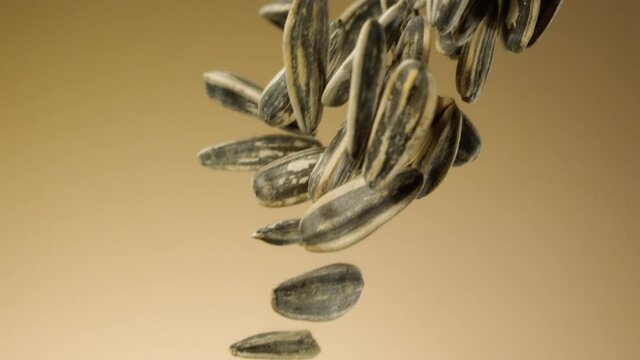 Beautiful sunflower seeds falling in slow motion over a brown background